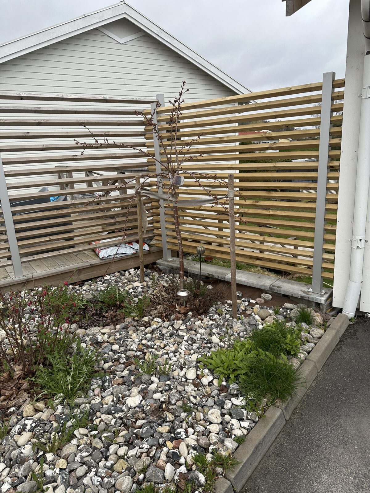 Bolmen - Bild 13