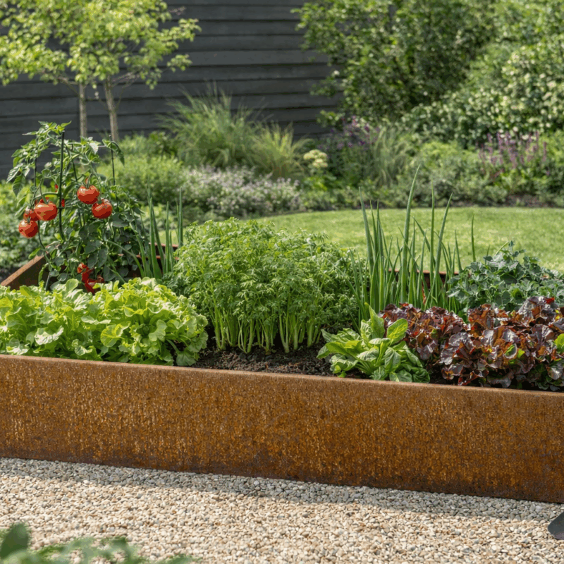 Odling / Planteringsram Cortenplåt