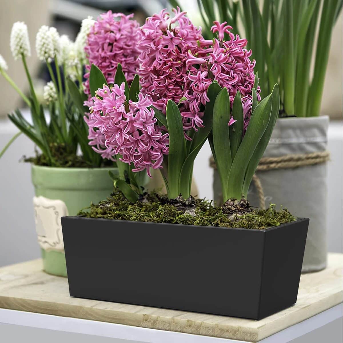 Blomkruka Rektangulär - Sonata - Bild 4