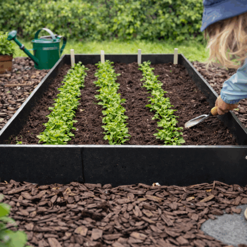 Odling / Planteringsram Svartlackerad