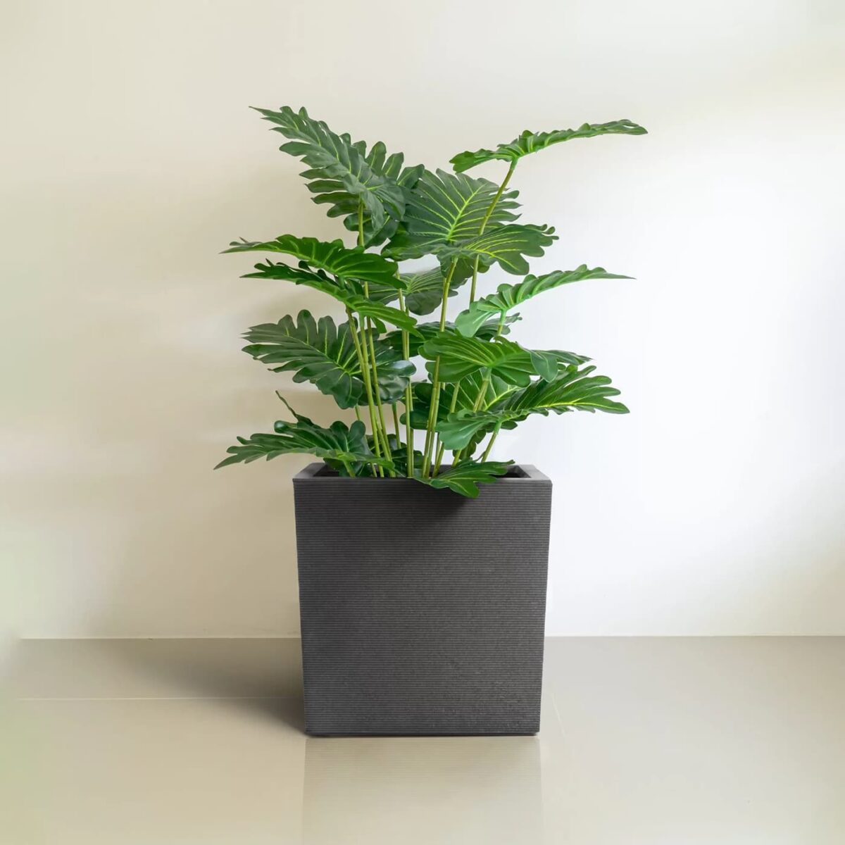 Blomkruka - Horizon - Bild 5