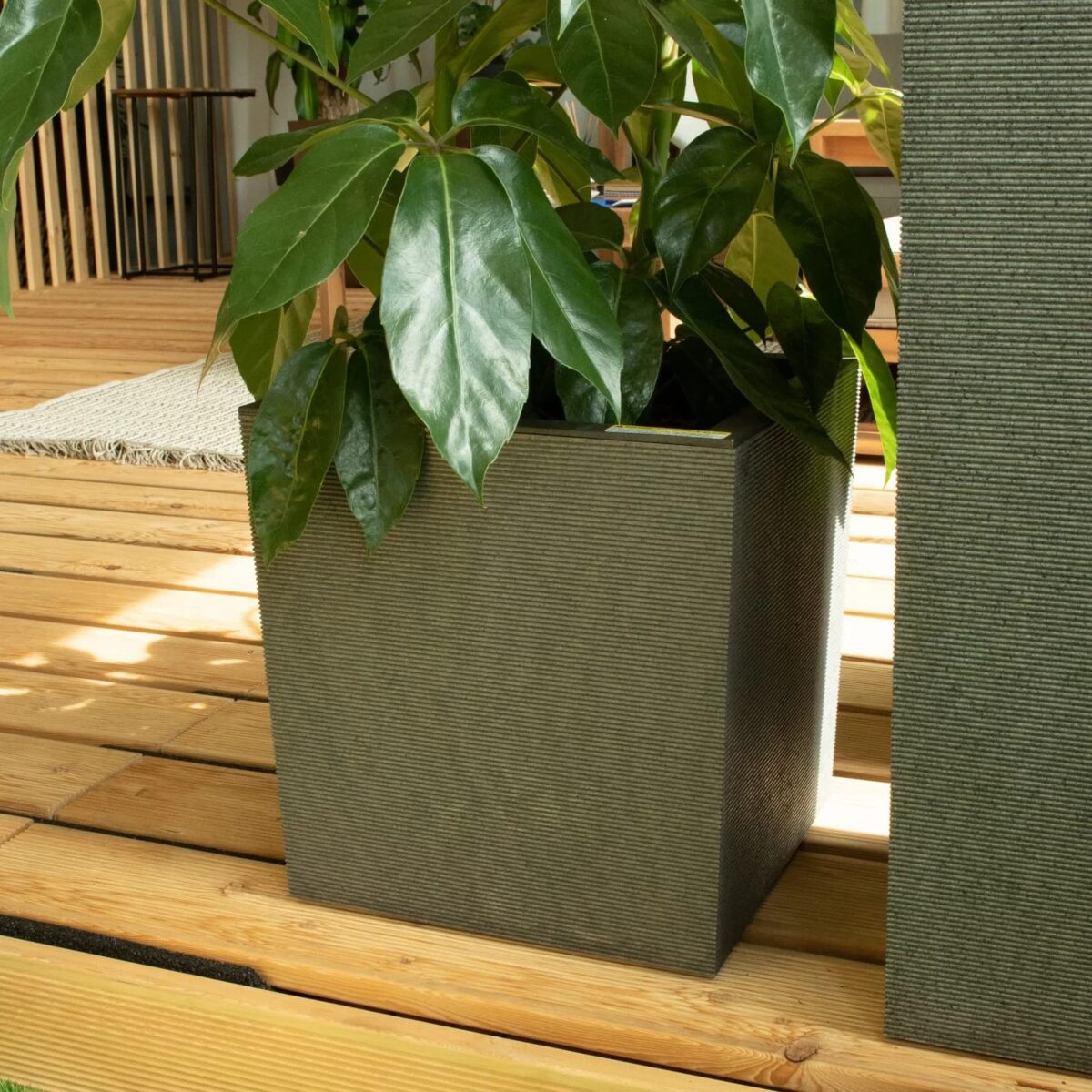 Blomkruka - Horizon - Bild 6