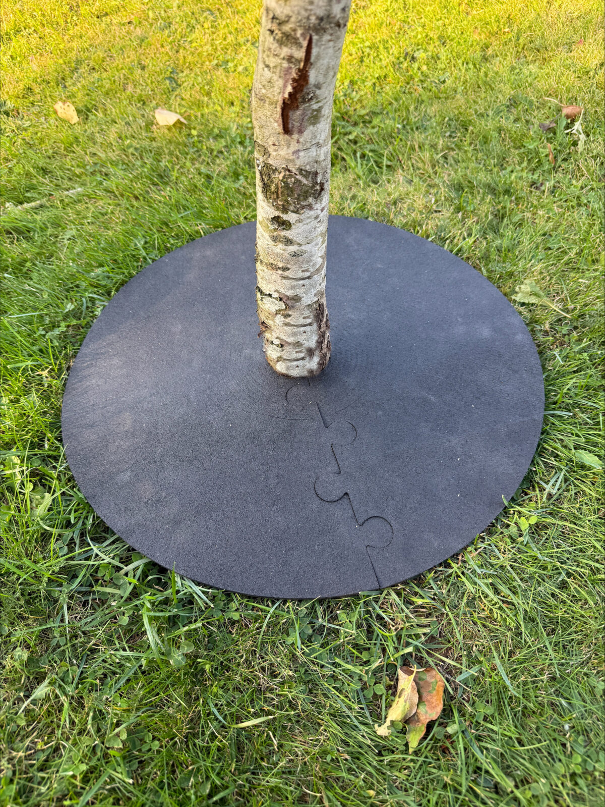 Stemguard - Trädskydd - Bild 5