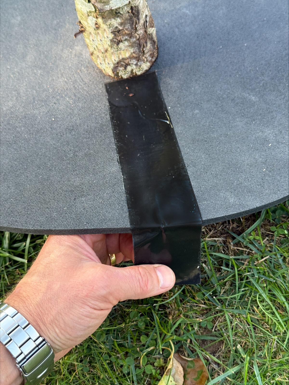 Stemguard - Trädskydd - Bild 3