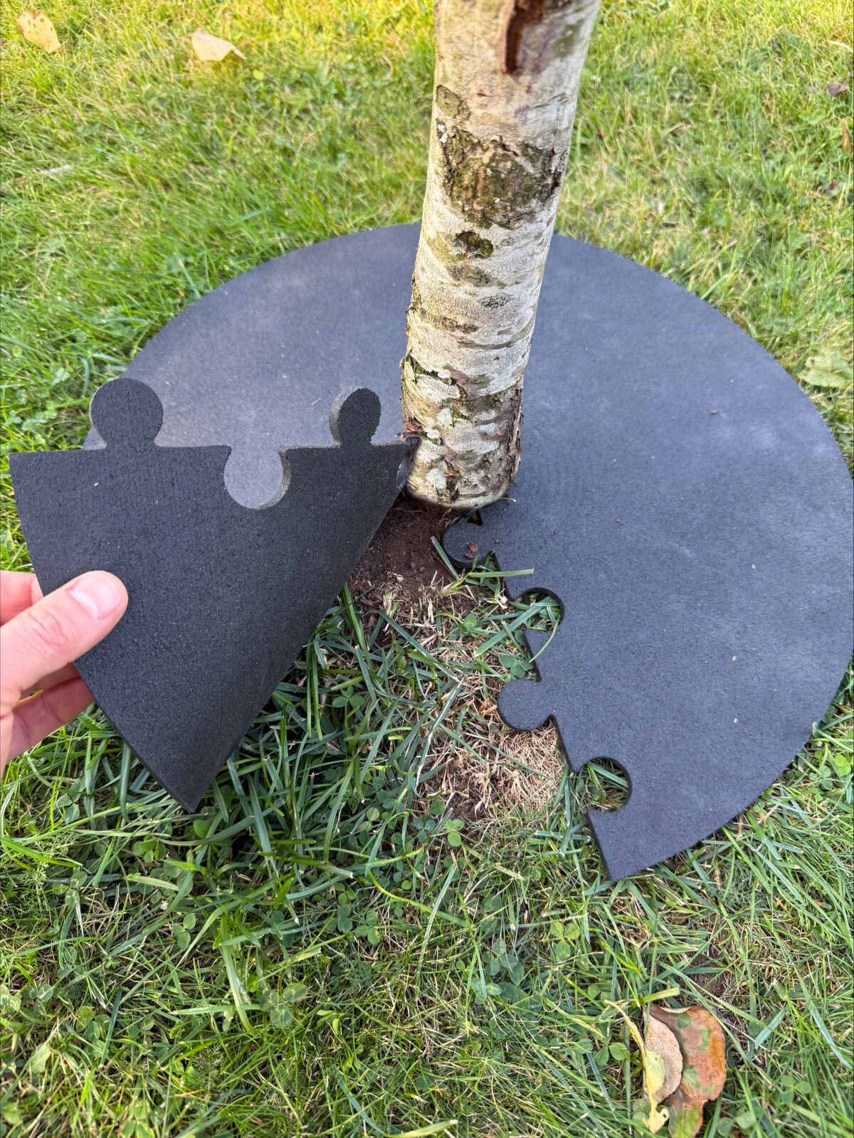 Stemguard - Trädskydd - Bild 2