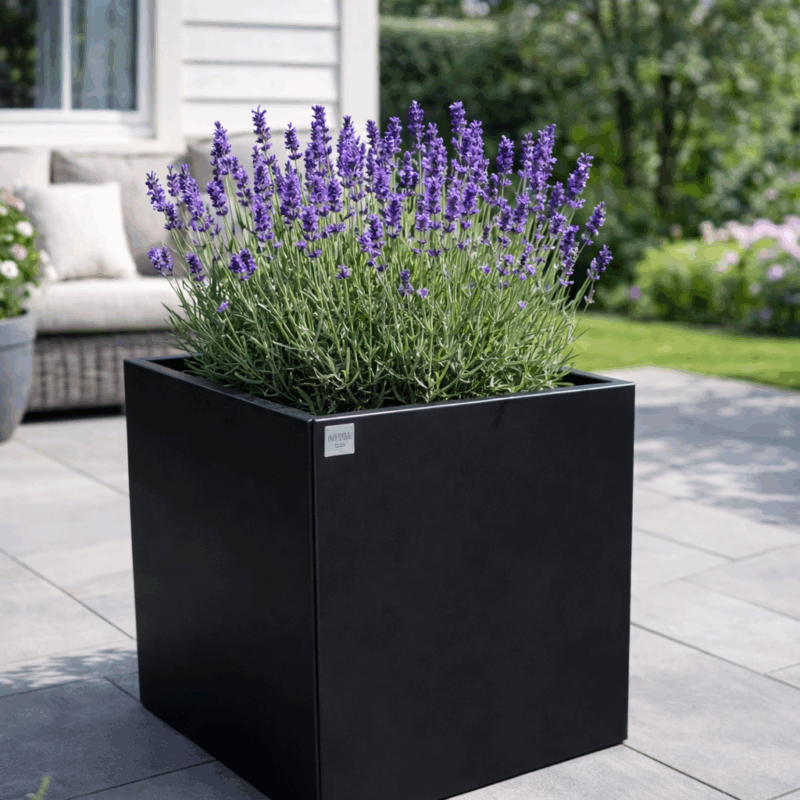 Blomlåda / Planteringskärl 55x55x55