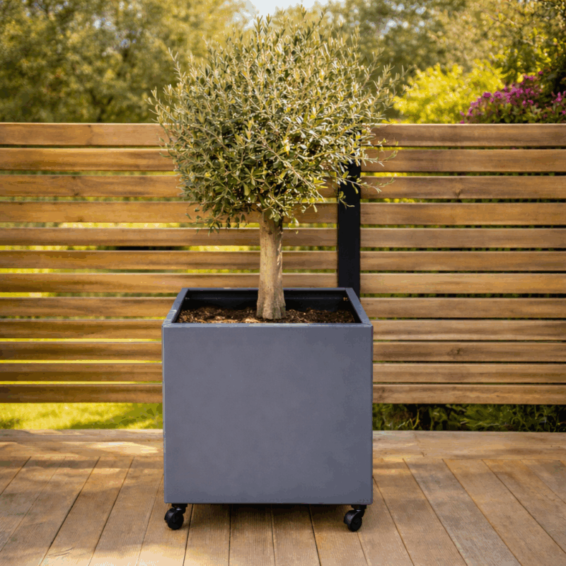 Blomlåda / Planteringskärl 55x55x55 Antracitgrå